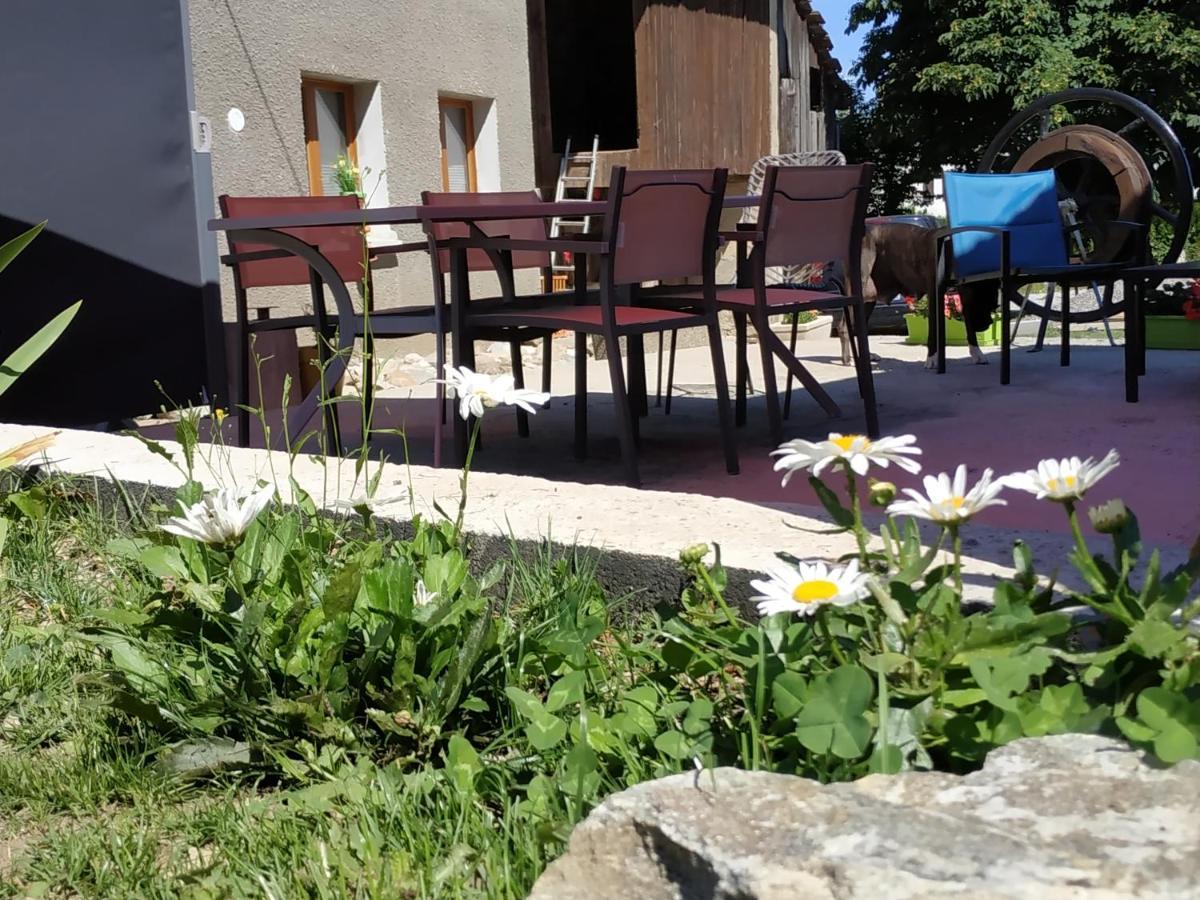 Maison D'Hotes Des Bassins D'Oche Saint-Paul-en-Chablais Exterior foto